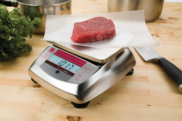 Ohaus Valor 3000 Stainless Steel Digital Scales